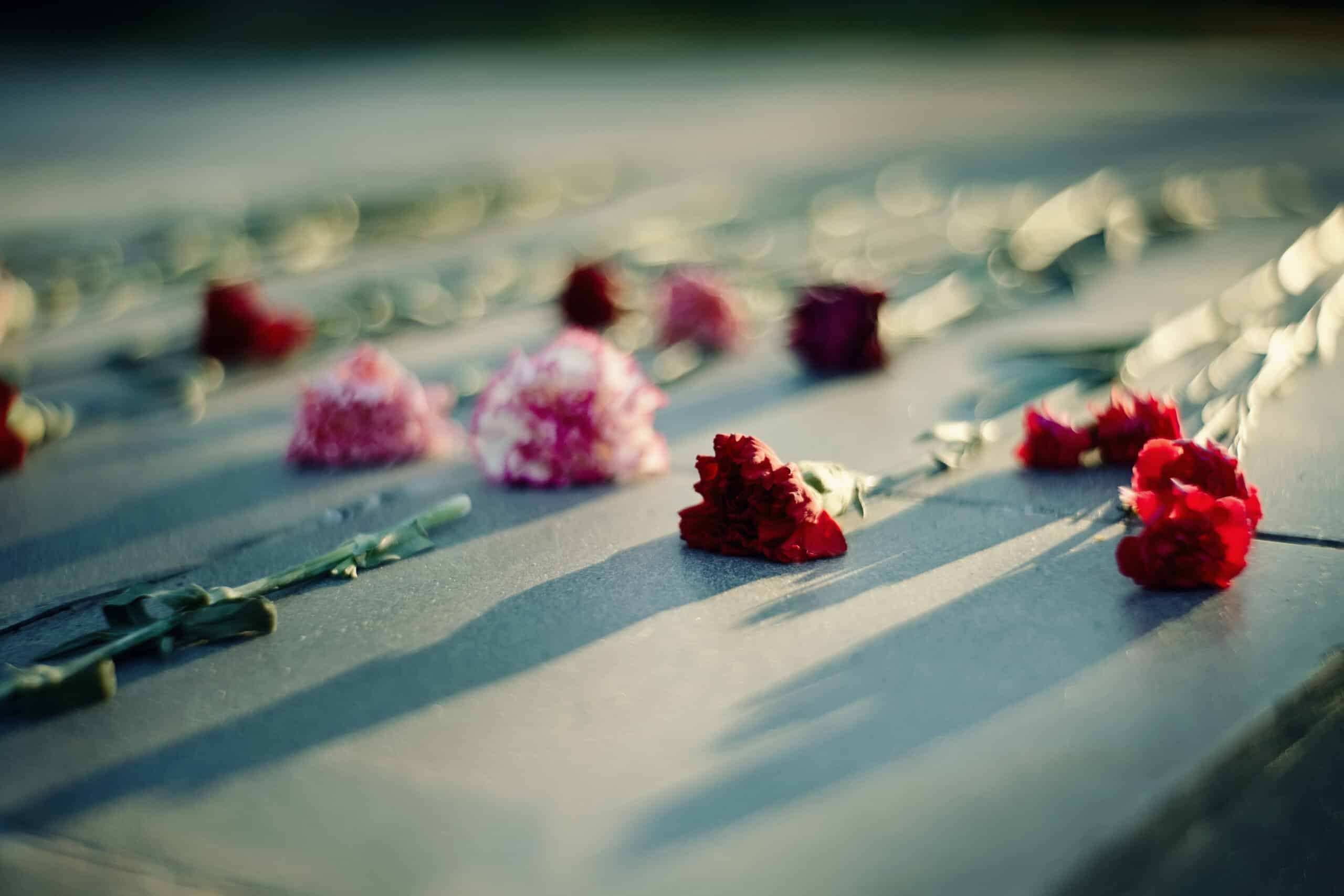 Carnations On The Grave